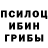 Псилоцибиновые грибы GOLDEN TEACHER 28:26 ZM