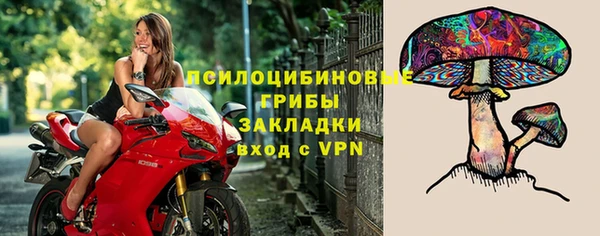 прущая мука Инта